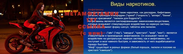 СК Новодвинск
