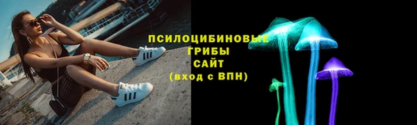 СК Новодвинск