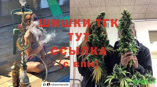 СК Новодвинск