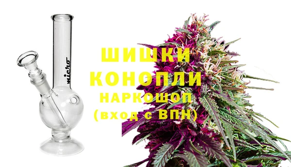 гидра Нея