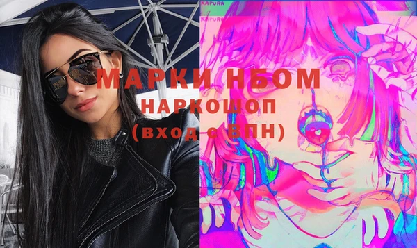 СК Новодвинск