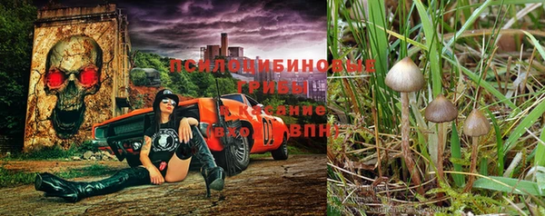 СК Новодвинск